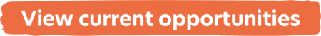 Strip orange